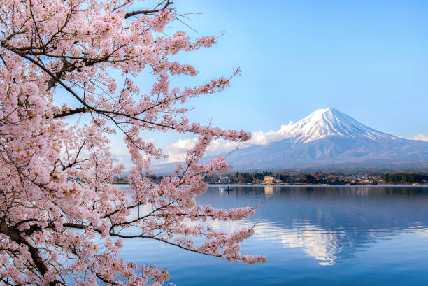 Discovering Japan: Top Tourist Destinations 1 Discovering Japan: Top Tourist Destinations