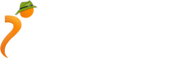 logo3 ihosting