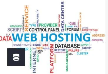 Best Web Hosting in India: Top Providers for Your Website in 2024 2 sdswrf 500x500 1