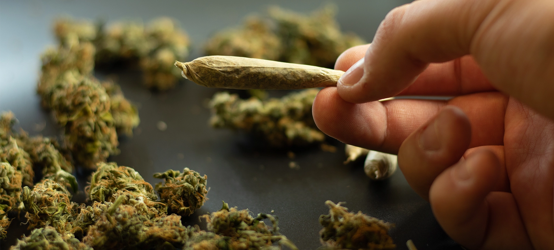 Weed in Dresden: Die besten Orte für Cannabis-Liebhaber 1 Weed in Dresden: Die besten Orte für Cannabis-Liebhaber