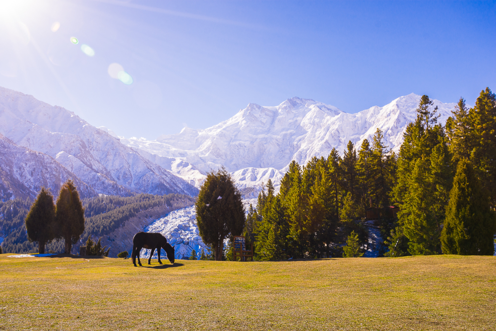 Fairy Meadows 2