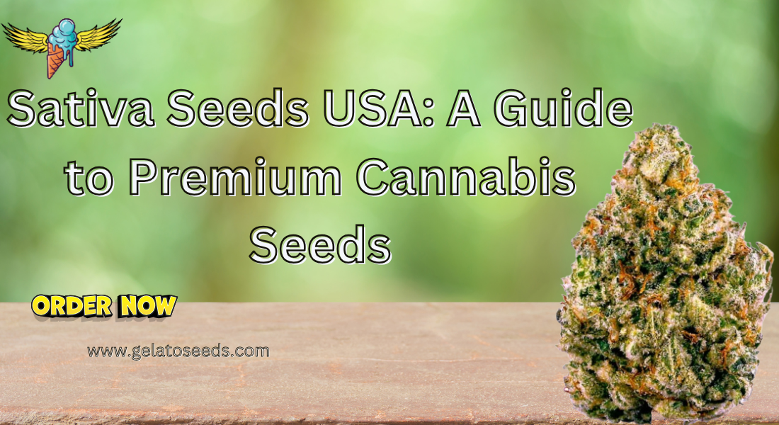 Sativa Seeds USA: A Guide to Premium Cannabis Seeds 1 Sativa Seeds USA: A Guide to Premium Cannabis Seeds