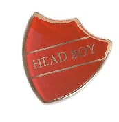 Enhancing Identity and Representation: Personalised Pin Badges, Custom Lanyards, and School Council Badges in the UK 4 Shield2