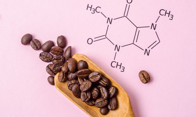 Anhydrous Caffeine Market Trends, Drivers, Challenges, and Key Insights forecast 2024-2032 1 Anhydrous Caffeine Market Trends, Drivers, Challenges, and Key Insights forecast 2024-2032