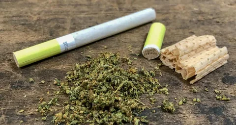 Why Are Quality CBD Cigarettes Gaining Popularity Among Smokers? 1 Why Are Quality CBD Cigarettes Gaining Popularity Among Smokers?