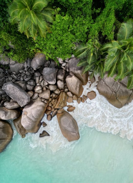 Exploring Las Terrenas: A Hidden Gem for Atlanta-Based Investors 1 Exploring Las Terrenas: A Hidden Gem for Atlanta-Based Investors