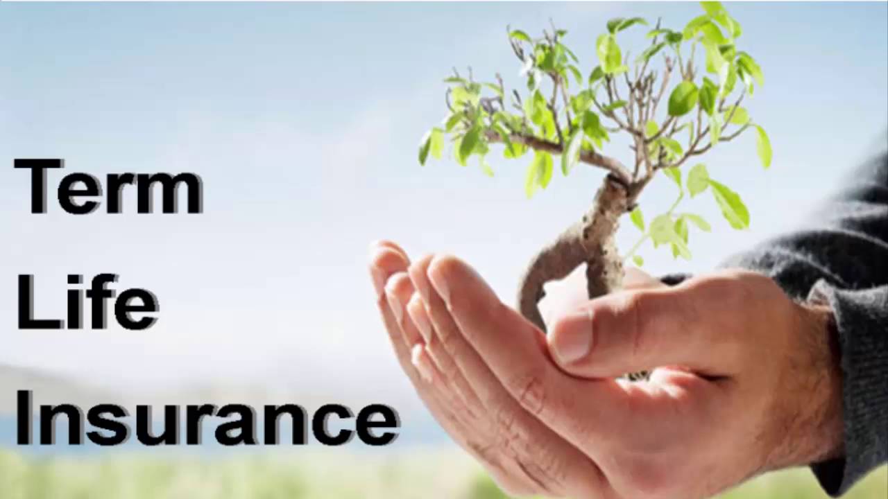 Best Life Insurance Plans Dublin, OH: A Comprehensive Guide to Securing Your Future 1 Best Life Insurance Plans Dublin, OH: A Comprehensive Guide to Securing Your Future