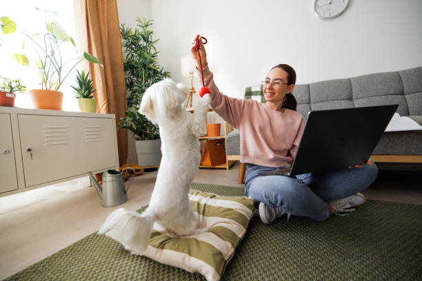 Why Taking Online Classes for Animal Care Can Help in Coping with Your Loneliness