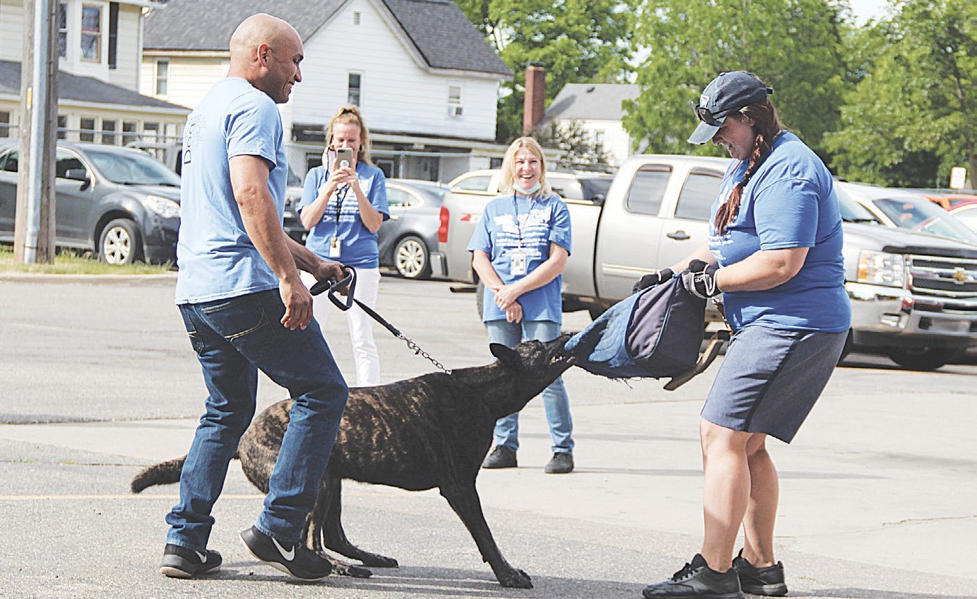 How to Handle Aggressive Dogs A Guide for Package Carriers 1 How to Handle Aggressive Dogs A Guide for Package Carriers