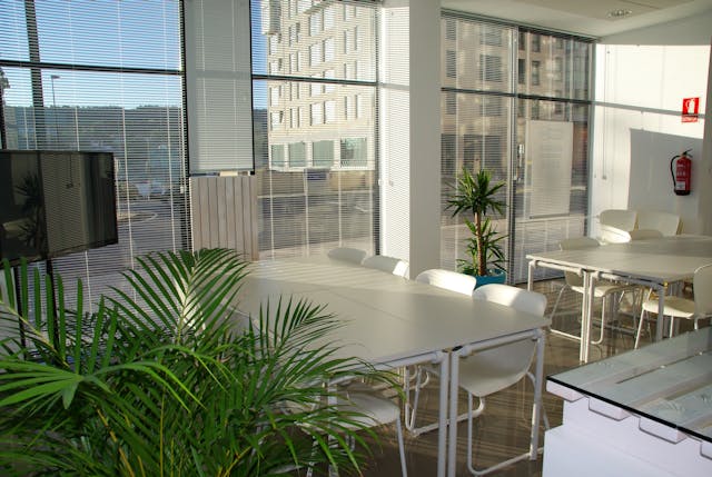 The Benefits of Blinds for Modern Homes 1 The Benefits of Blinds for Modern Homes