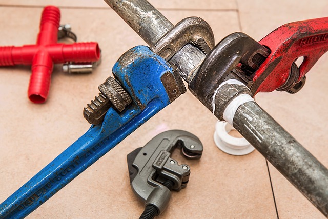 How to Avoid Common Plumbing Problems: Prevention Tips for Homeowners 1 How to Avoid Common Plumbing Problems: Prevention Tips for Homeowners