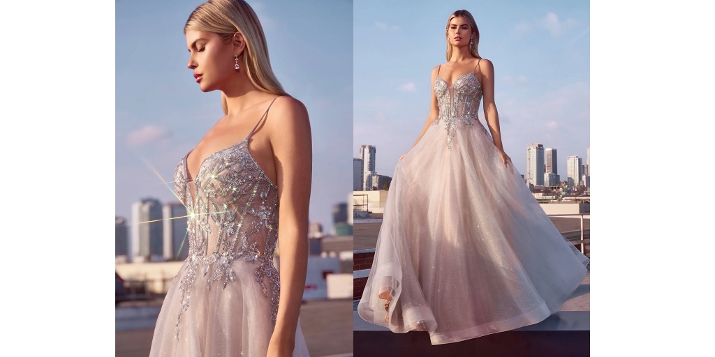 Shine Like a Star: Why a Silver Prom Dress is Perfect for Your Big Night 1 Shine Like a Star: Why a Silver Prom Dress is Perfect for Your Big Night