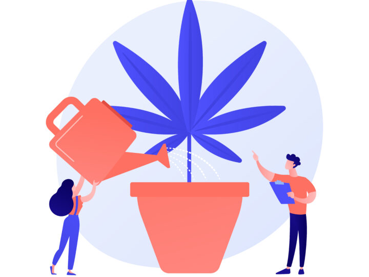 AI and Cannabis SEO: A Perfect Pair for Digital Growth in 2025