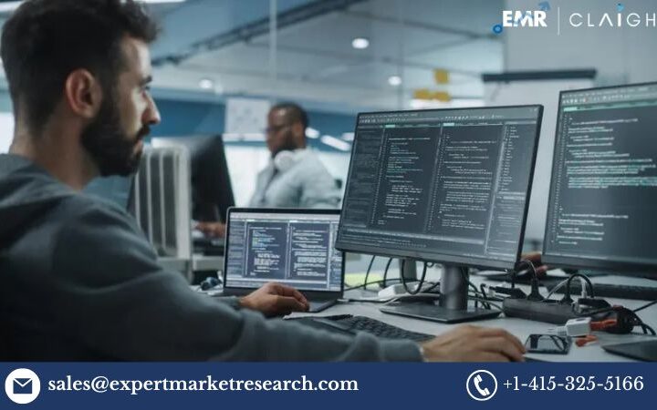 Argentina Software Market Share, Size, Growth & Trends by 2034