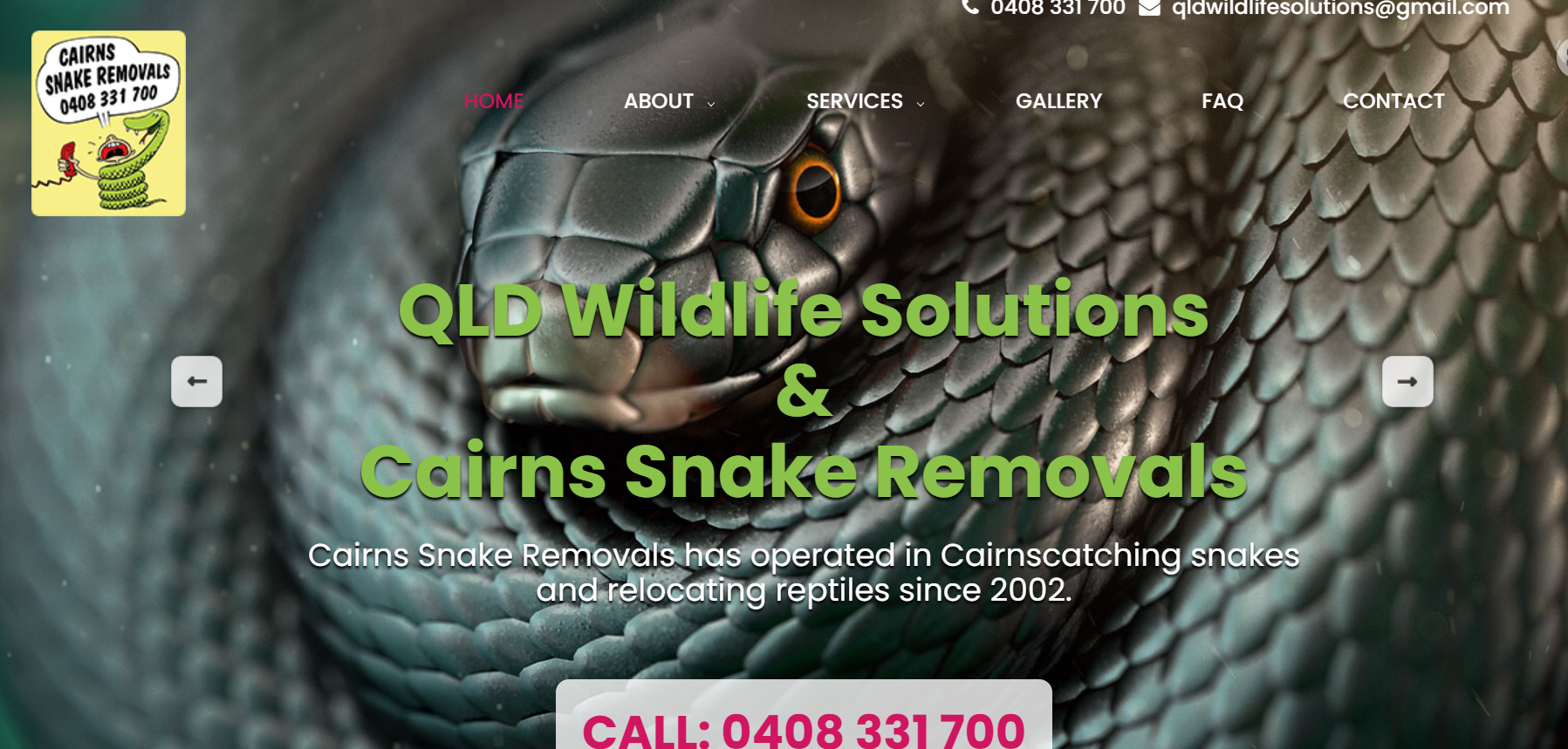 Top Fauna Spotter Catcher Queensland 1 Top Fauna Spotter Catcher Queensland