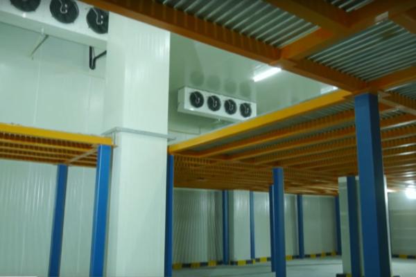 Cold Storage Construction: Why PUF Panels Are the Ultimate Choice 4 Pronto 1