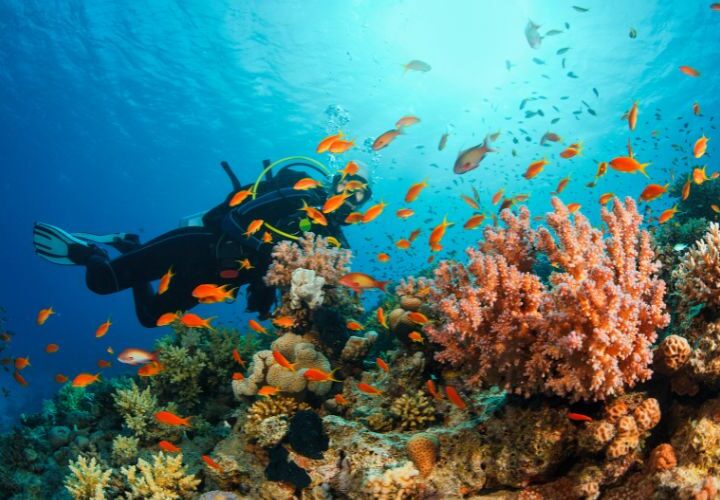 Top 6 Adventure Activities to Try in Thailand