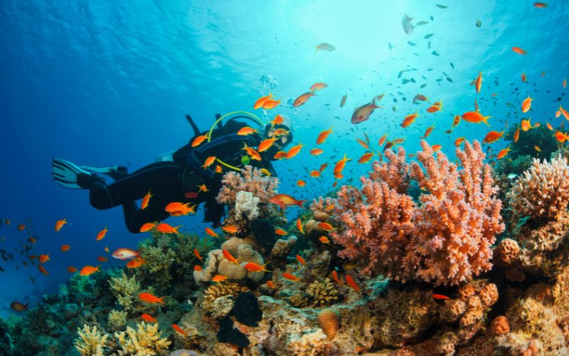 Top 6 Adventure Activities to Try in Thailand 1 Top 6 Adventure Activities to Try in Thailand