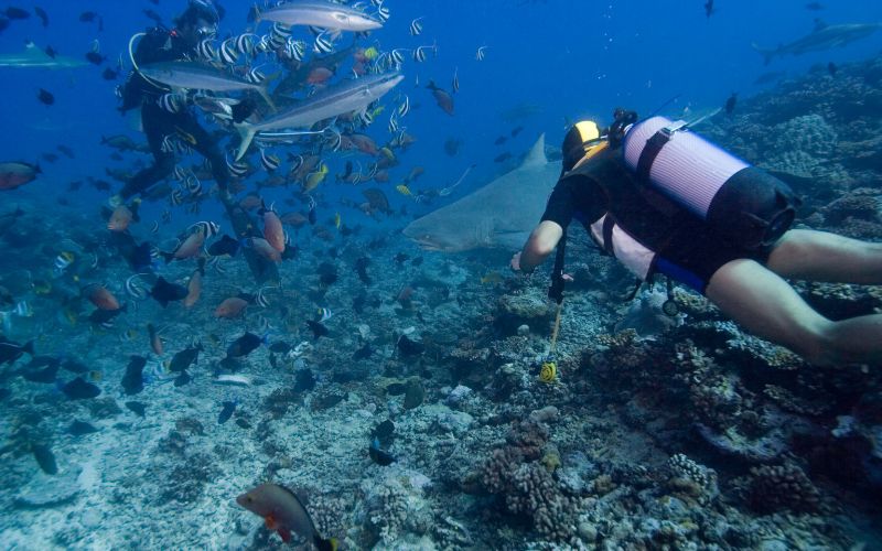8 Thrilling Adventures to Try in Thailand 1 8 Thrilling Adventures to Try in Thailand
