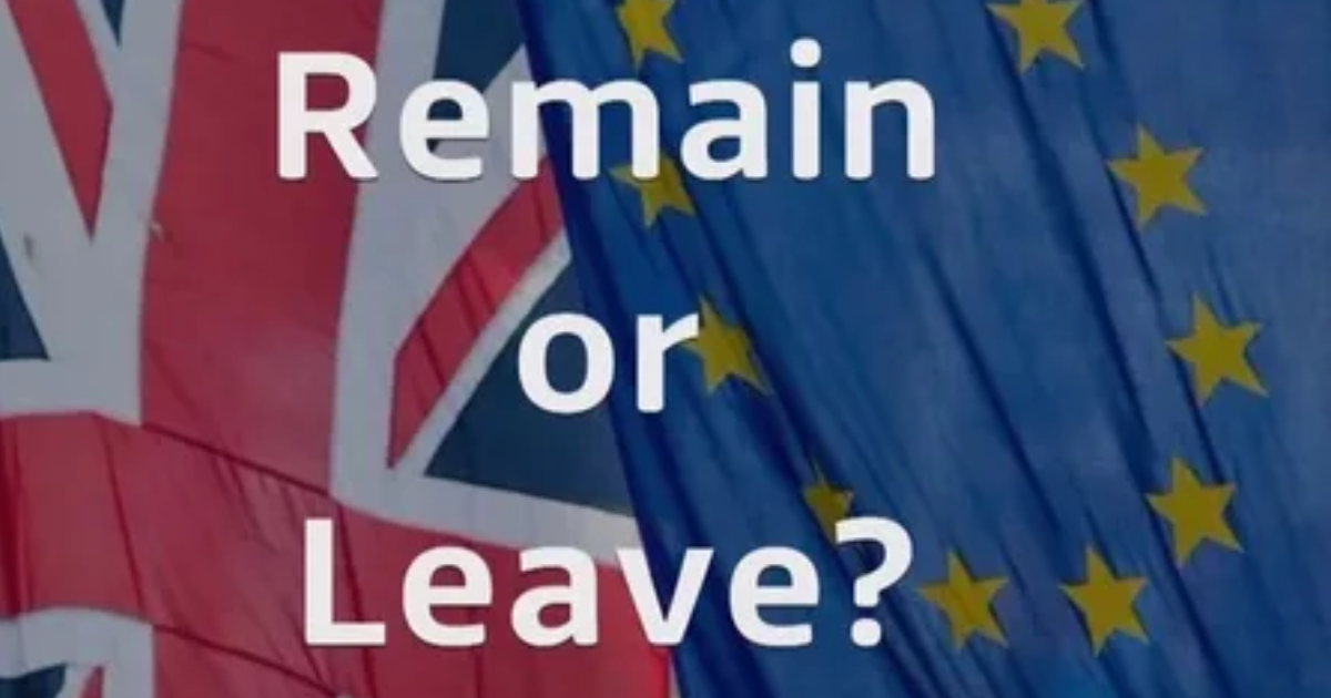 Discretionary Leave to Remain (DLR) 1 Discretionary Leave to Remain (DLR)