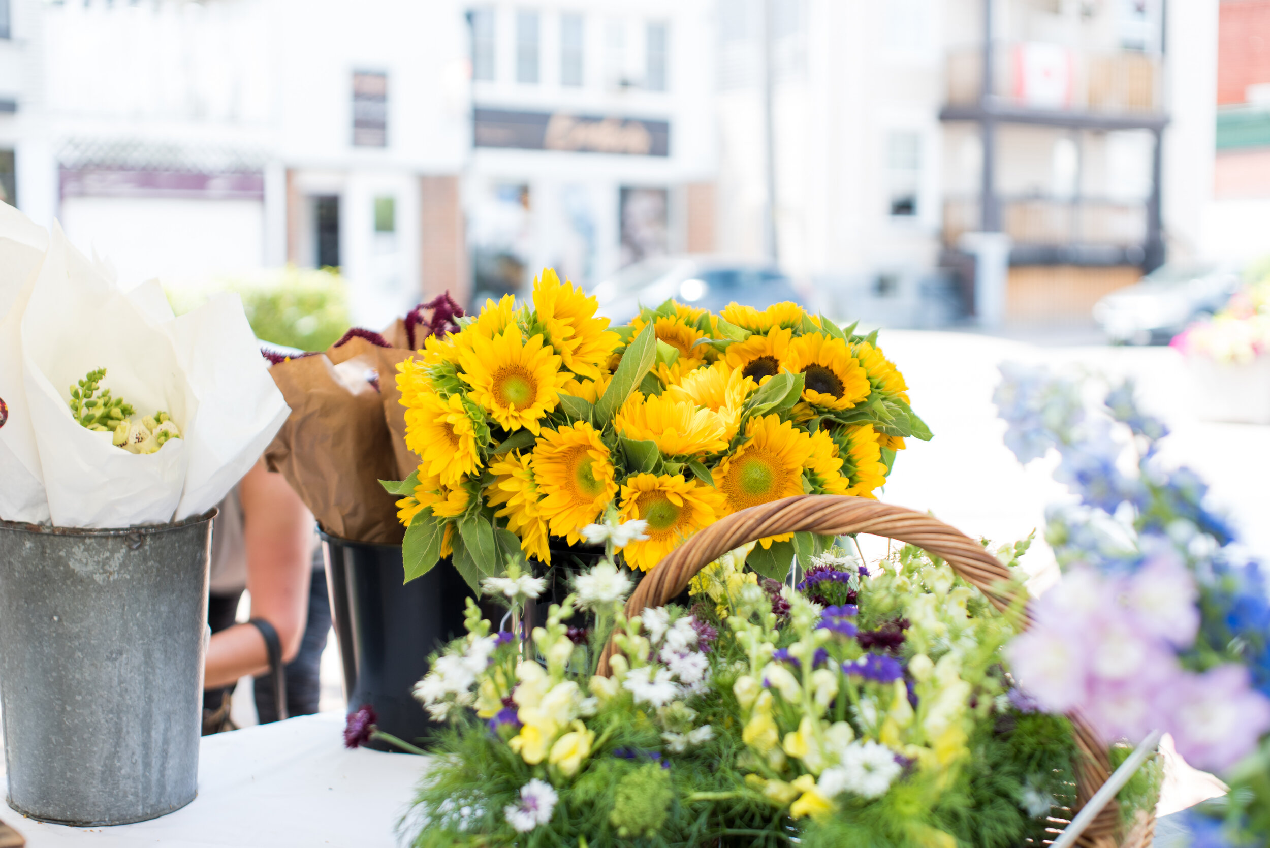 Best Florist Ottawa: Discover the Top Floral Shops in Ottawa, Canada 1 Best Florist Ottawa: Discover the Top Floral Shops in Ottawa, Canada