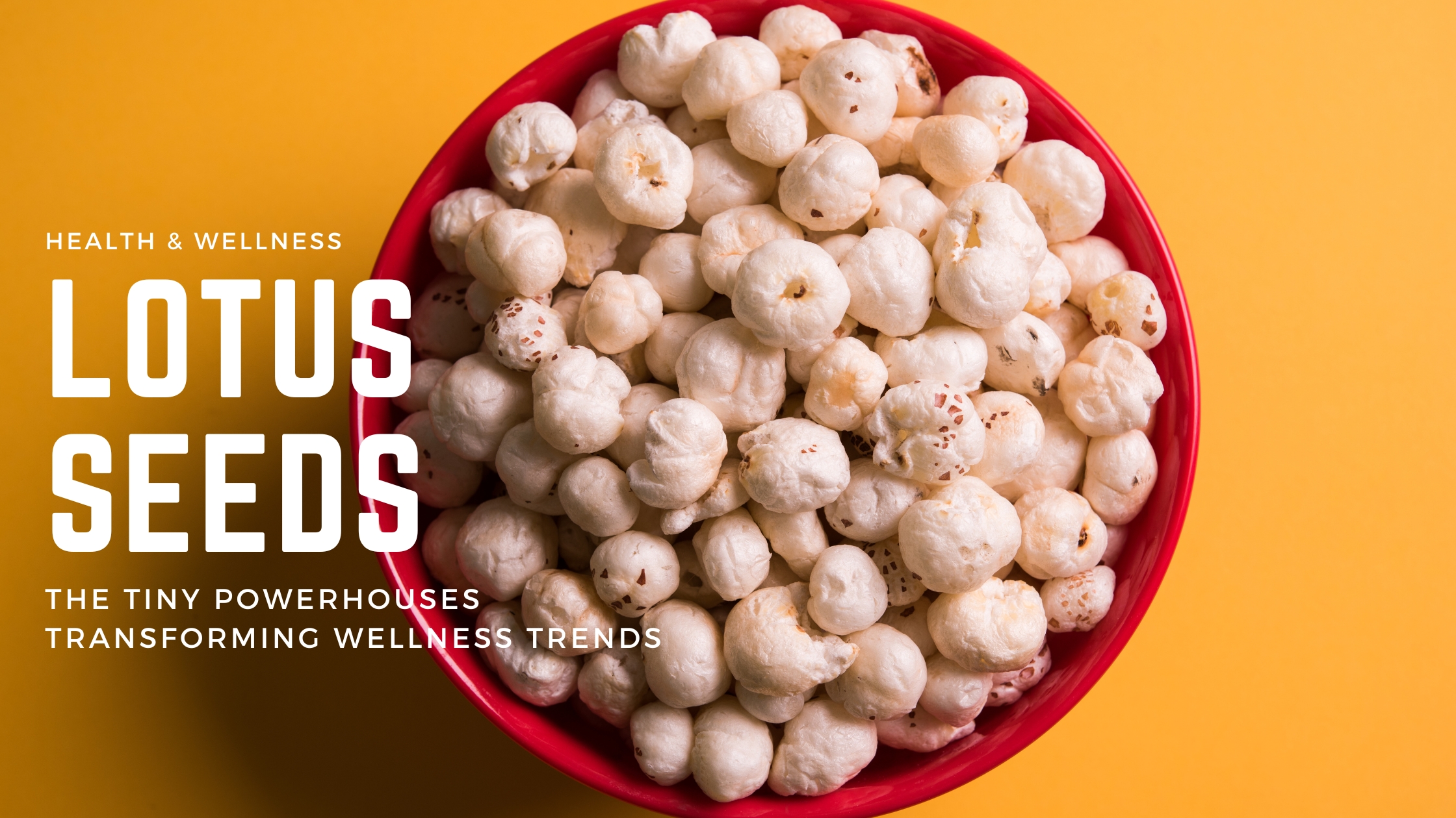 Lotus Seeds: The Tiny Powerhouses Transforming Wellness Trends 1 Lotus Seeds: The Tiny Powerhouses Transforming Wellness Trends