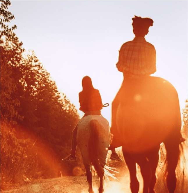 Exploring the World on Horseback: A Journey through Horseback Riding Tours 4 horseride2