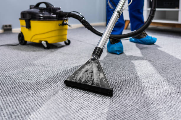 Achieve Professional-Level Cleanliness at Home with These Machines 2 Professional vacuum cleaner for home use