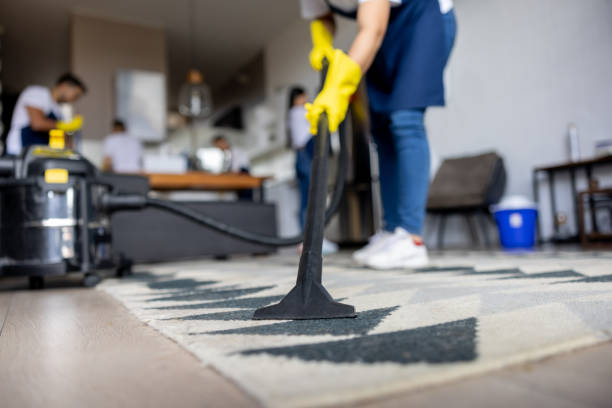 Achieve Professional-Level Cleanliness at Home with These Machines 3 Professional vacuum cleaner for home use