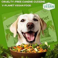 best dog food dubai 1 best dog food dubai
