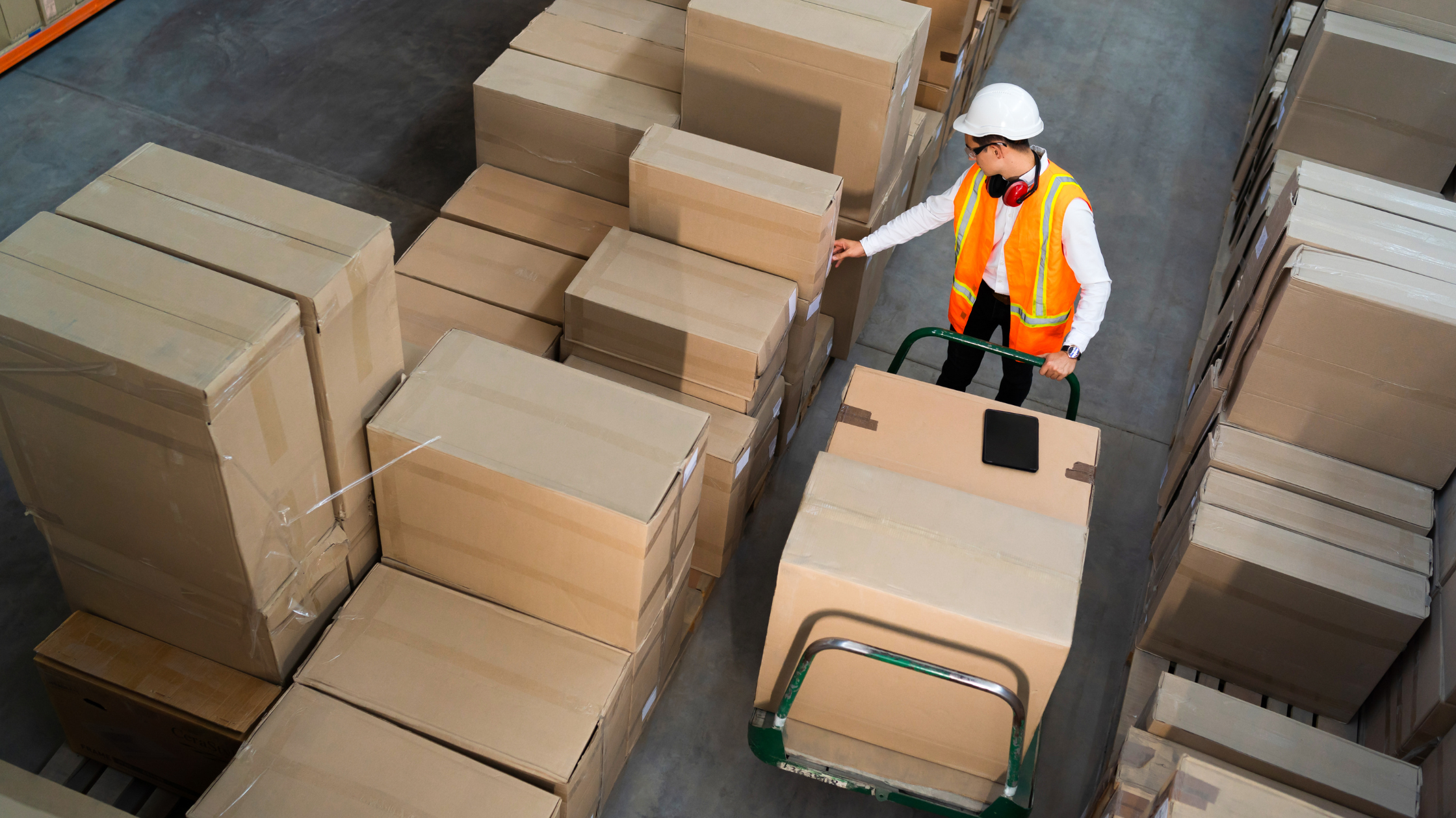Top Industry Trends for Wholesalers in 2024 1 Top Industry Trends for Wholesalers in 2024
