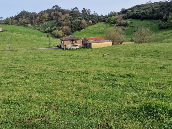 The Best Online Casino: RoyalXCasino – A Comprehensive Guide to Casino Games and Earning Opportunities