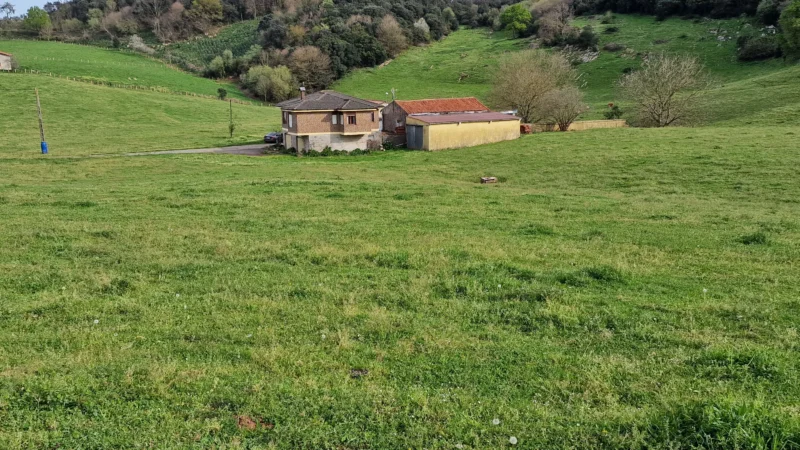 En plena naturaleza: Terreno rústico en venta