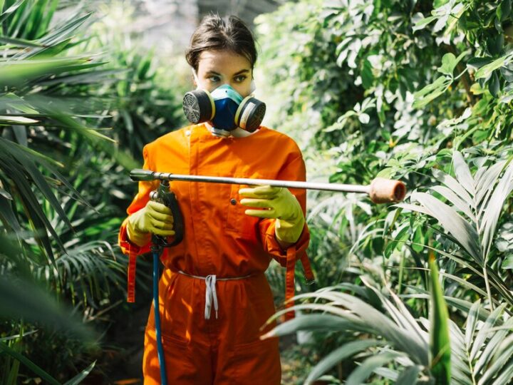 Is Your Pest Control Safe for the Environment?