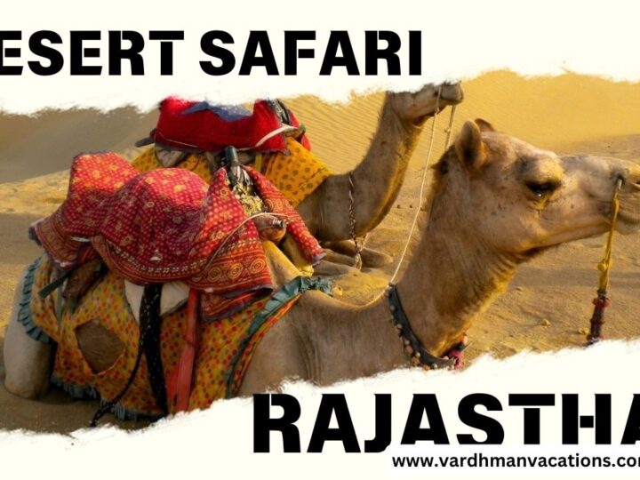 Exploring the Golden Sands: A Comprehensive Guide to Desert Safaris in Rajasthan