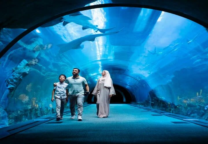 Top Diving and Snorkeling Spots in Fujairah