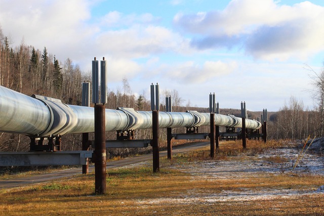 5 Common Types of Flanges Used in the Oil and Gas Industry 1 5 Common Types of Flanges Used in the Oil and Gas Industry