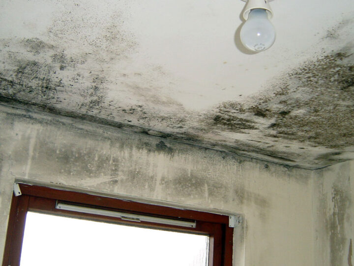 Effective Condensation Control Andover: Expert Solutions from Insite Southern