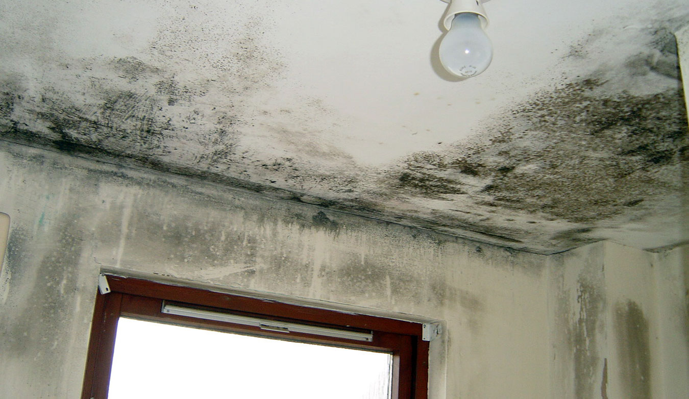 Effective Condensation Control Andover: Expert Solutions from Insite Southern 1 Effective Condensation Control Andover: Expert Solutions from Insite Southern