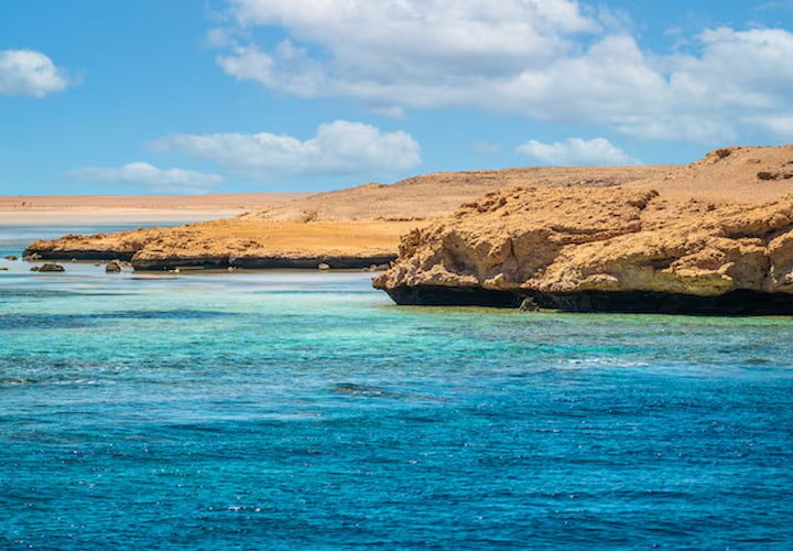 Preserved Flowers Wholesale in Singapore