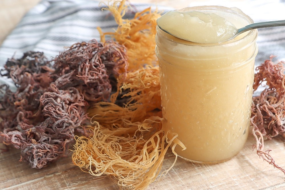 Sea Moss Gel: A Natural Solution for Health-Conscious Consumers 1 Sea Moss Gel: A Natural Solution for Health-Conscious Consumers