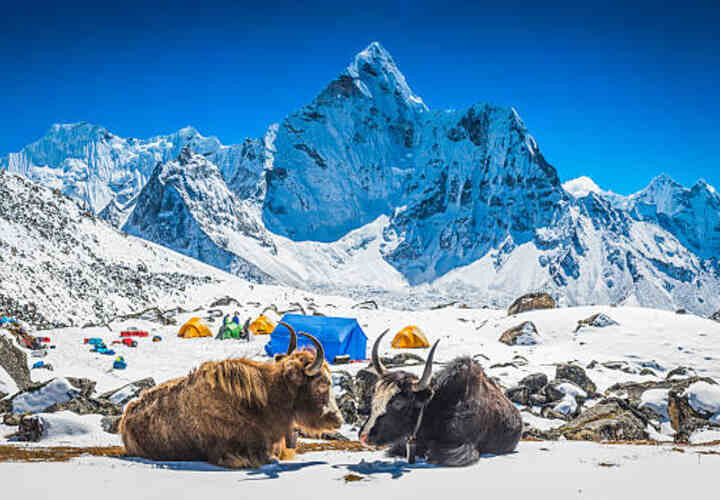 Top 5 Must-Visit Places in Nepal for an Unforgettable Adventure