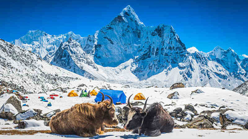 Top 5 Must-Visit Places in Nepal for an Unforgettable Adventure