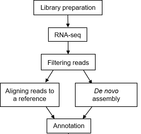 Principles, Workflow, and Applications of Metatranscriptomic Sequencing