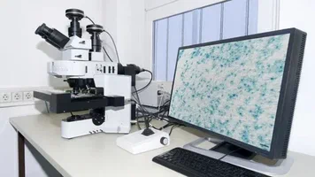 Where Can You Find the Best Pathology Centre Near You? 2 image 28