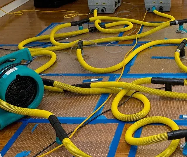 What Are the Common Causes of Water Damage in Homes?