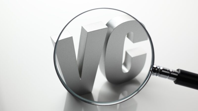 The Role of Blockchain Venture Capital Firms in Scaling Web3 Startups