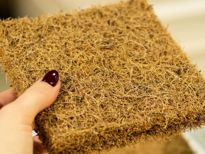 Why Coir Mats Are the Best Choice for Dubai Homes & Businesses