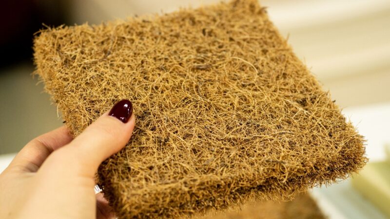 Why Coir Mats Are the Best Choice for Dubai Homes & Businesses