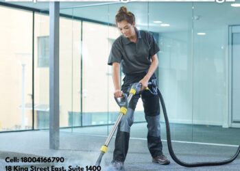 The Aesthetic Transformation of Your Home Through Professional Carpet Cleaning 1 The Aesthetic Transformation of Your Home Through Professional Carpet Cleaning